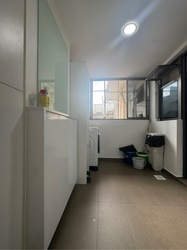 Treasure Crest (D19), Condominium #482610771
